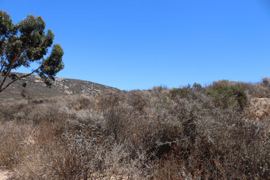 0 Bedroom Property for Sale in Britannica Heights Western Cape